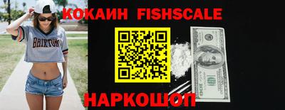 гашик Дубна
