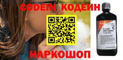 гашик Дубна