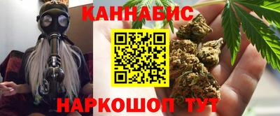 гашик Дубна