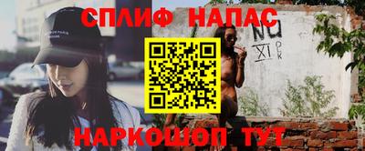 гашик Дубна