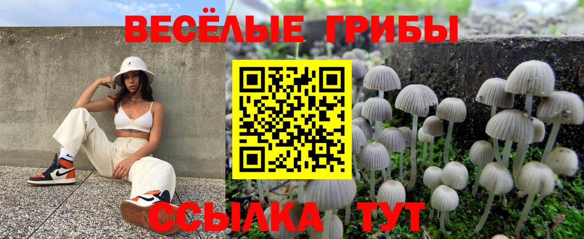 Псилоцибиновые грибы прущие грибы Мурино