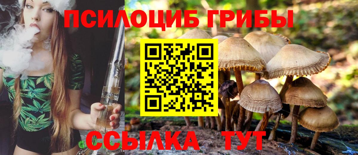 Мурино  Галлюциногенные грибы прущие грибы  Вход с VPN 