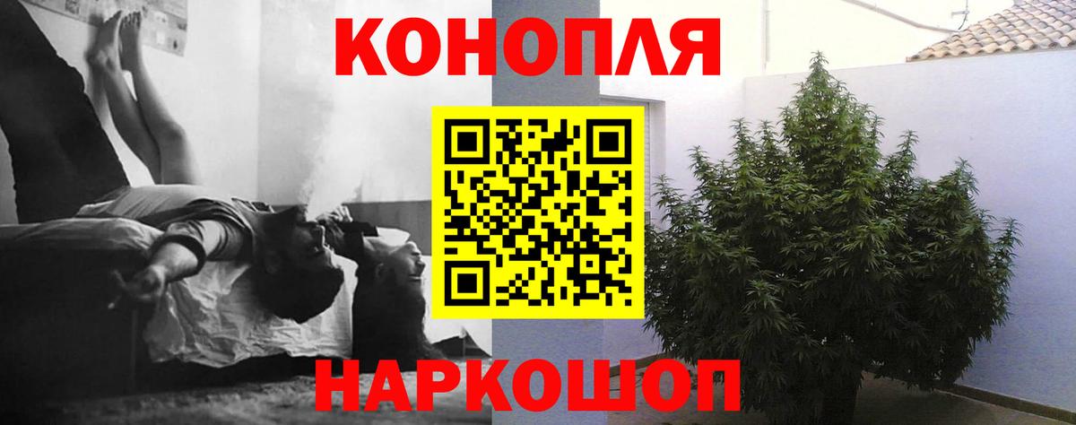 Бошки Шишки тримм Мурино